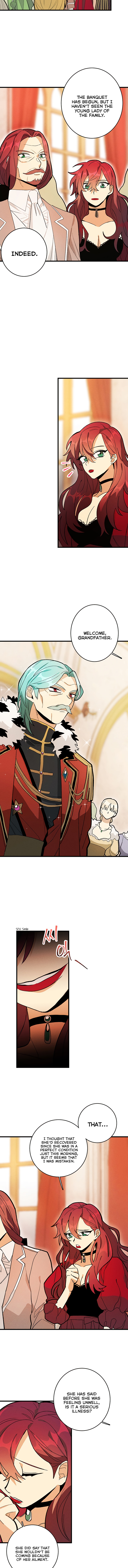 Royal Shop of Young Lady chapter 13 - page 3