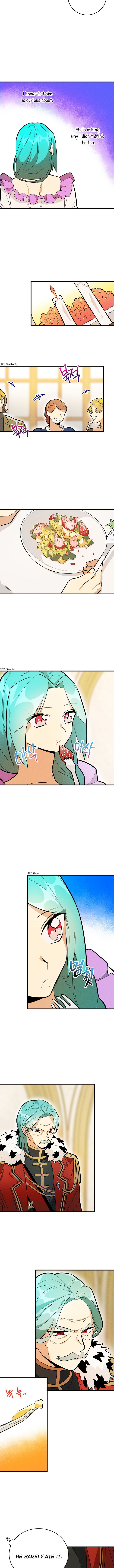 Royal Shop of Young Lady chapter 13 - page 8