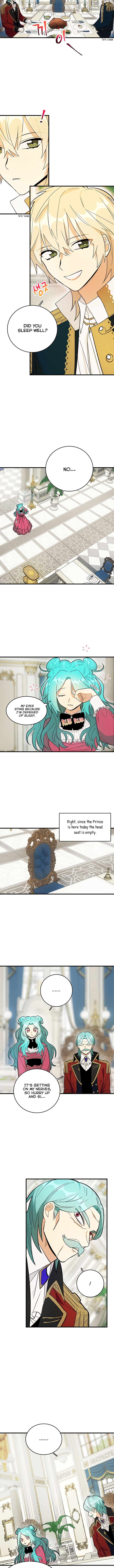 Royal Shop of Young Lady chapter 21 - page 8