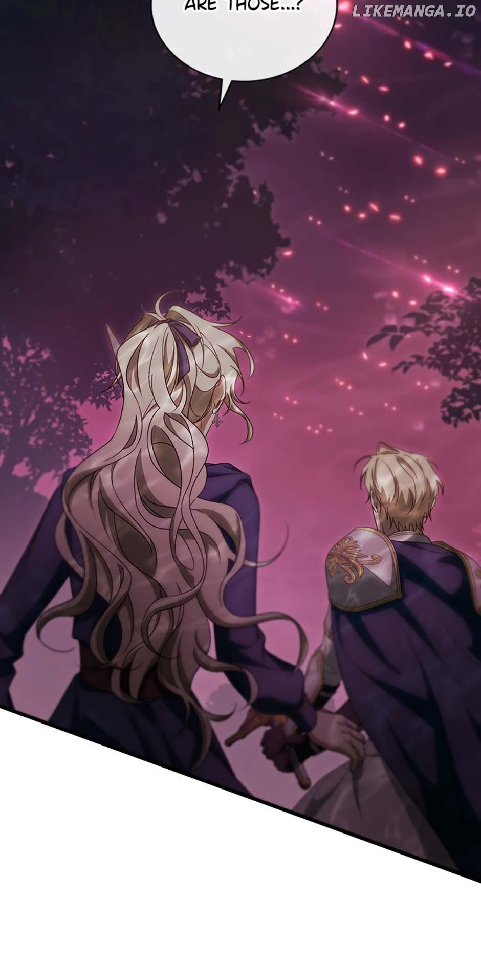The Hero's Savior Chapter 89 - page 13