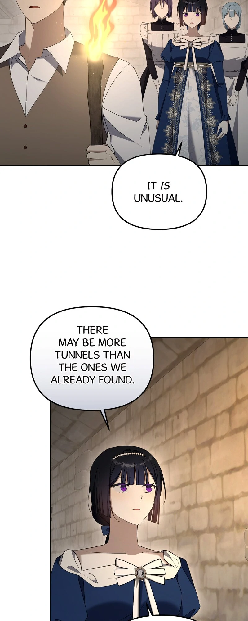 Carnephelia’s Curse is Never Ending Chapter 101 - page 12