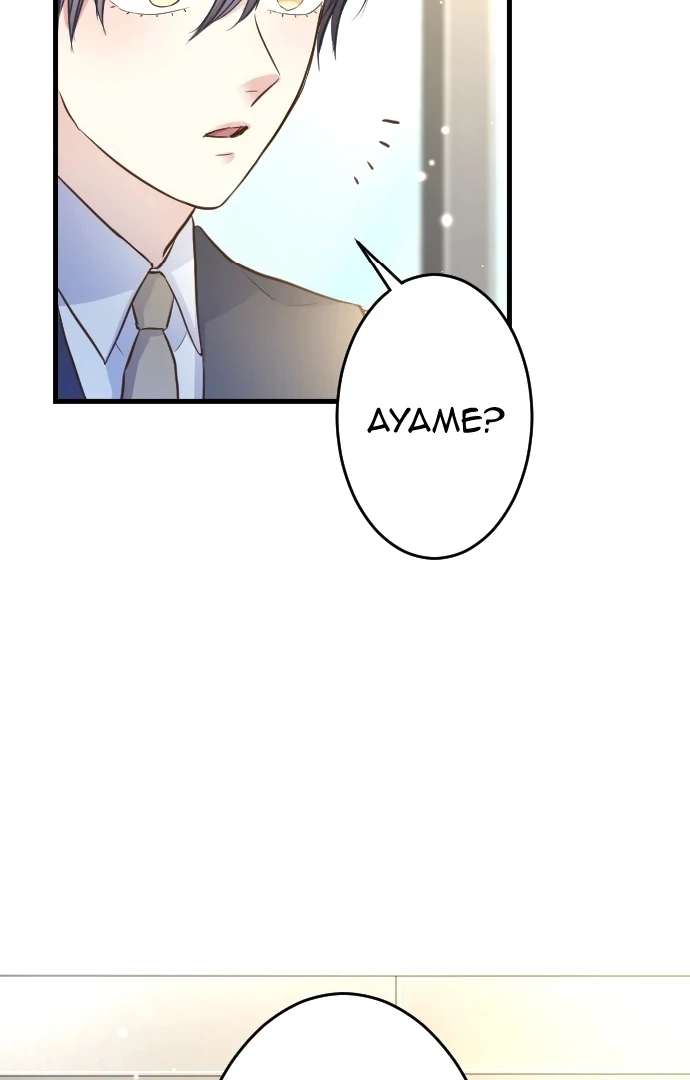 Pocha-Meshi: Stuff Your Cheeks With Love! Chapter 27 - page 52