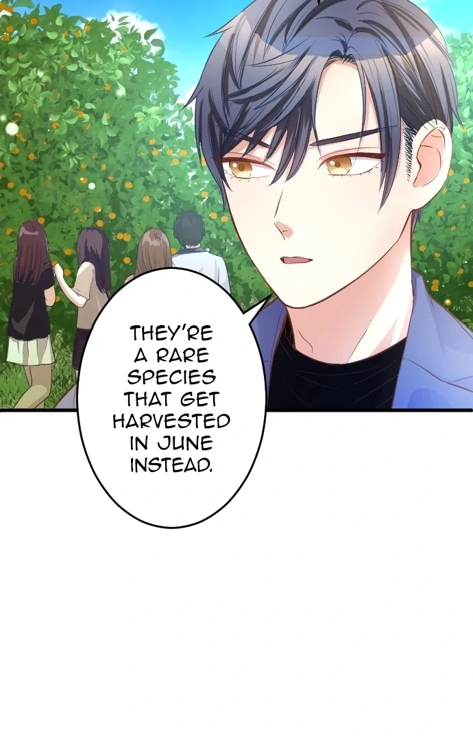 Pocha-Meshi: Stuff Your Cheeks With Love! Chapter 19 - page 23