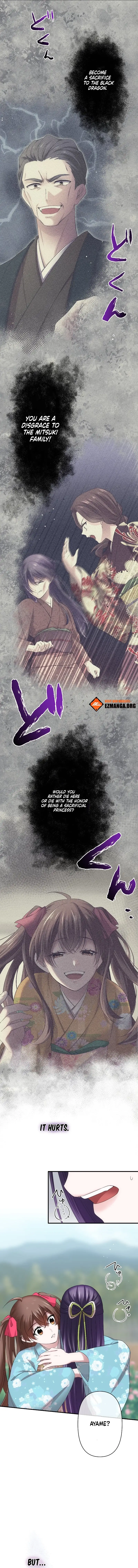The Silent Sacrifice Princess And The Black Dragons Marriage Chapter 25 - page 12