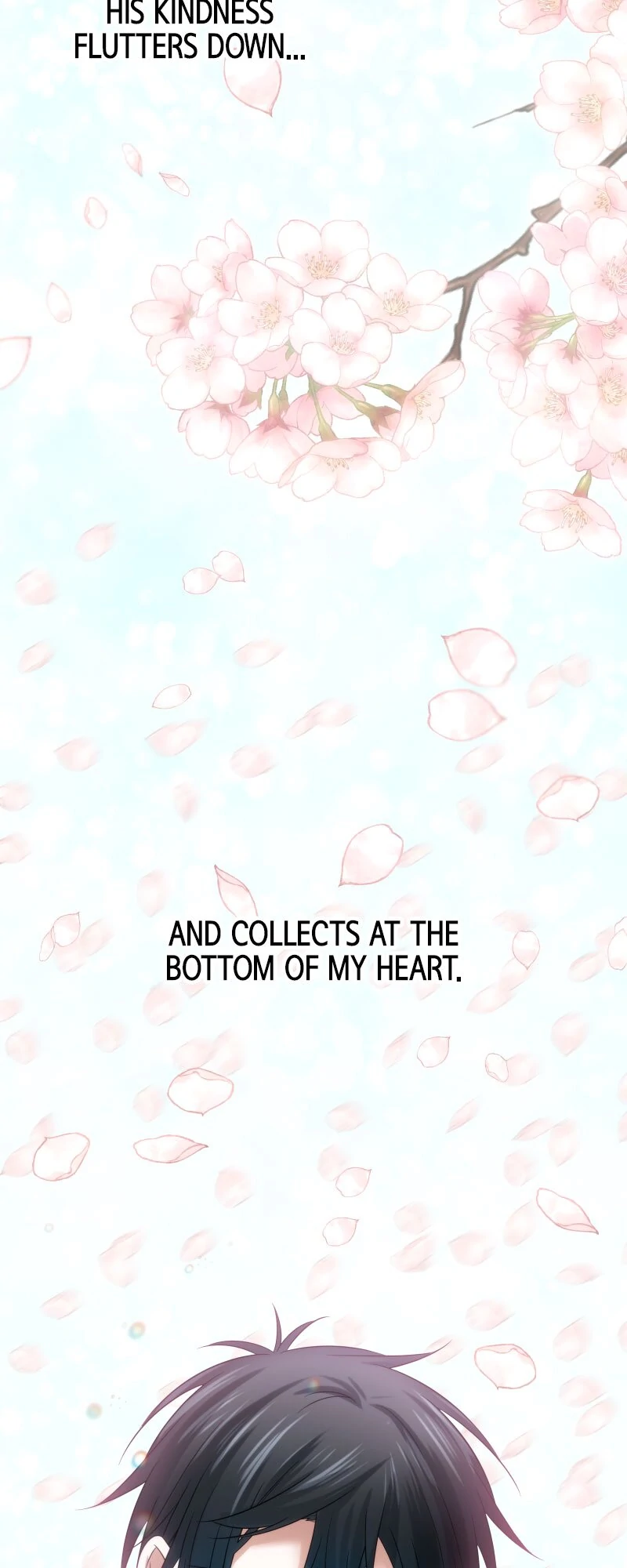The Silent Sacrifice Princess And The Black Dragons Marriage Chapter 19 - page 23