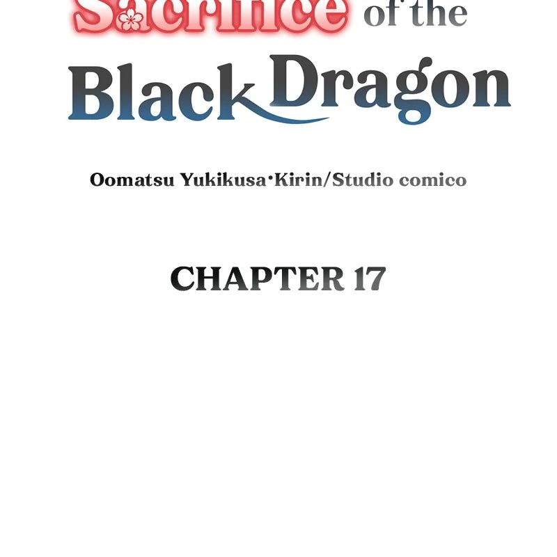 The Silent Sacrifice Princess And The Black Dragons Marriage Chapter 17 - page 10