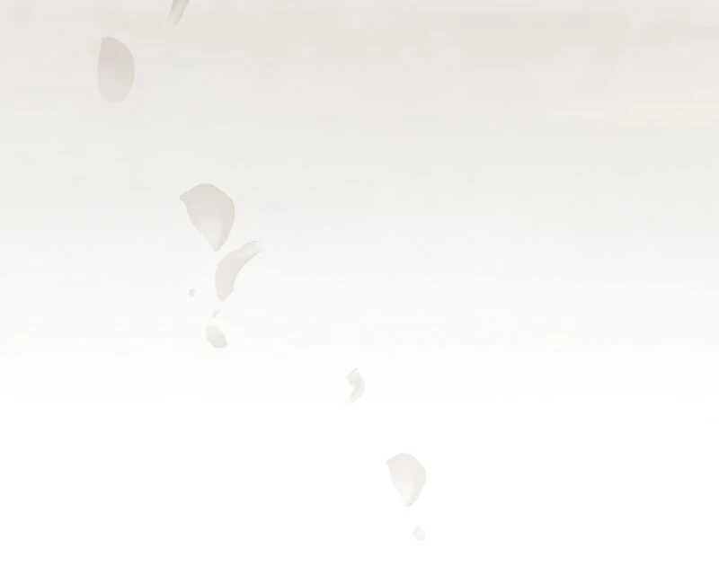 The Silent Sacrifice Princess And The Black Dragons Marriage Chapter 17 - page 28