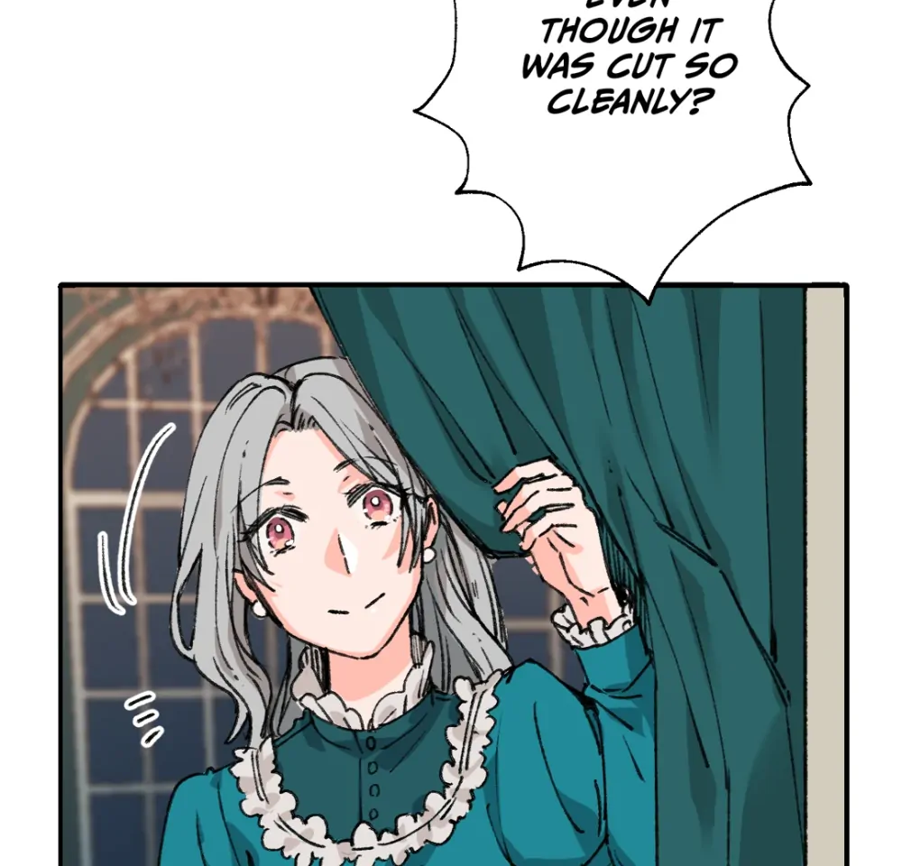 Holy Revenge: The Princess Who Became a Swordsman Chapter 1 - page 28