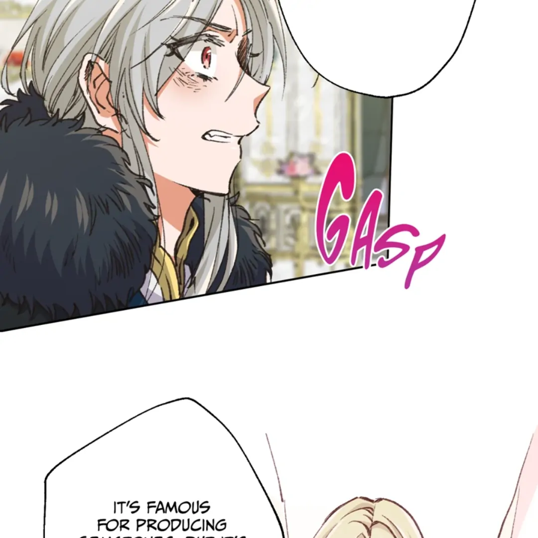 Holy Revenge: The Princess Who Became a Swordsman Chapter 13 - page 11