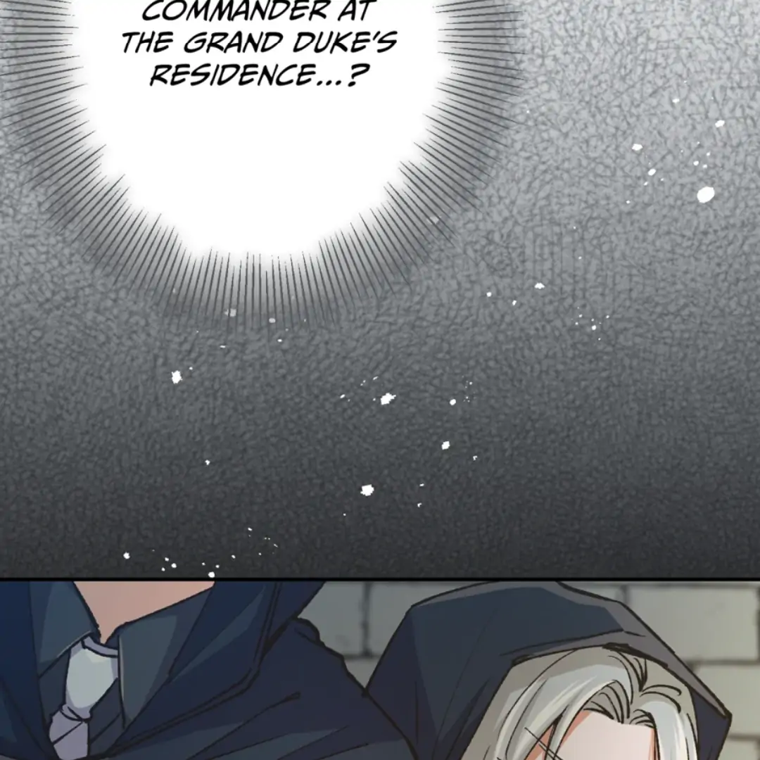 Holy Revenge: The Princess Who Became a Swordsman Chapter 9 - page 18