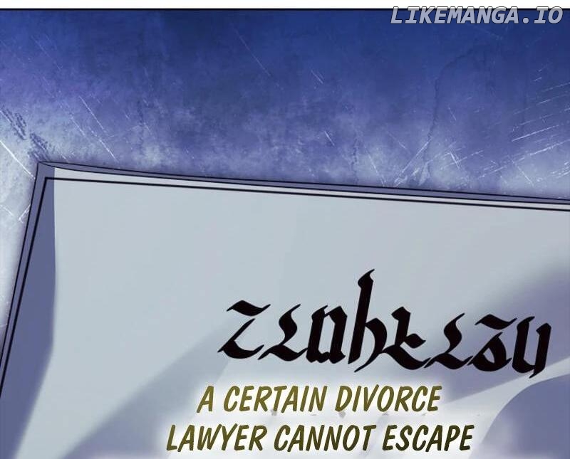 Leave the Divorce to a Professional Lawyer Chapter 48 - page 148
