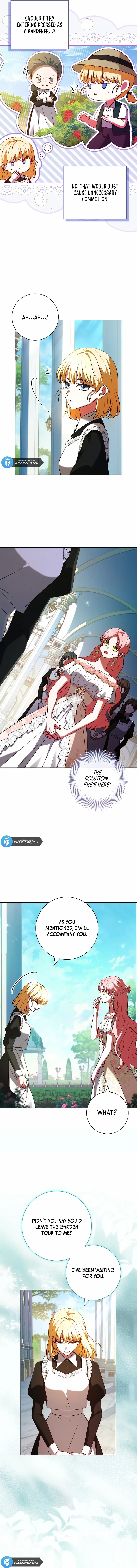 Leave the Divorce to a Professional Lawyer Chapter 8 - page 3