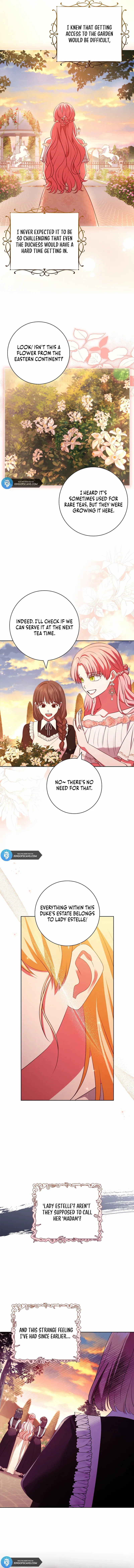 Leave the Divorce to a Professional Lawyer Chapter 8 - page 6