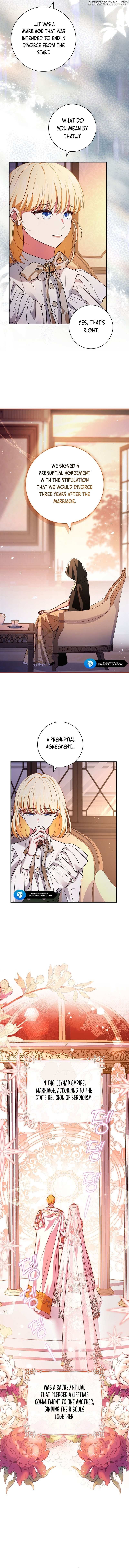 Leave the Divorce to a Professional Lawyer Chapter 2 - page 7