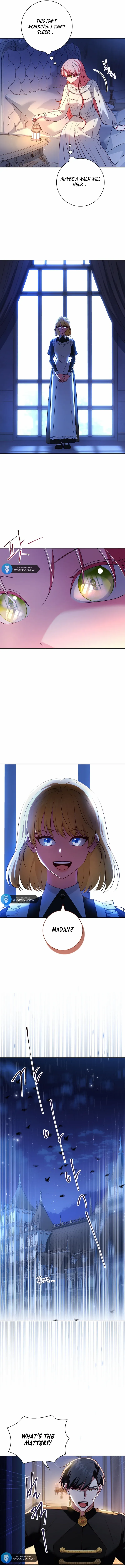 Leave the Divorce to a Professional Lawyer Chapter 9 - page 4