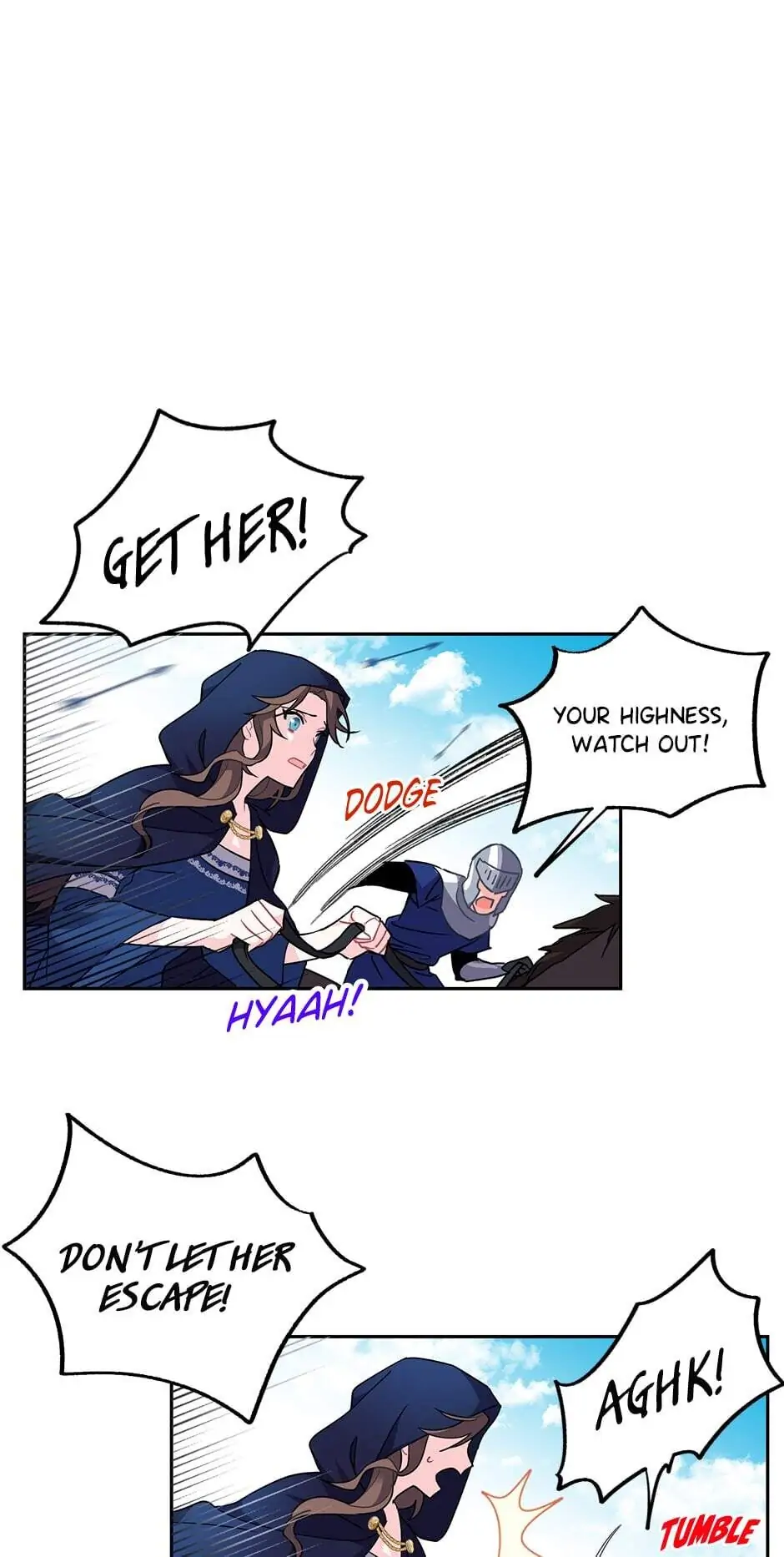 The Falcon Princess Chapter 1 - page 22