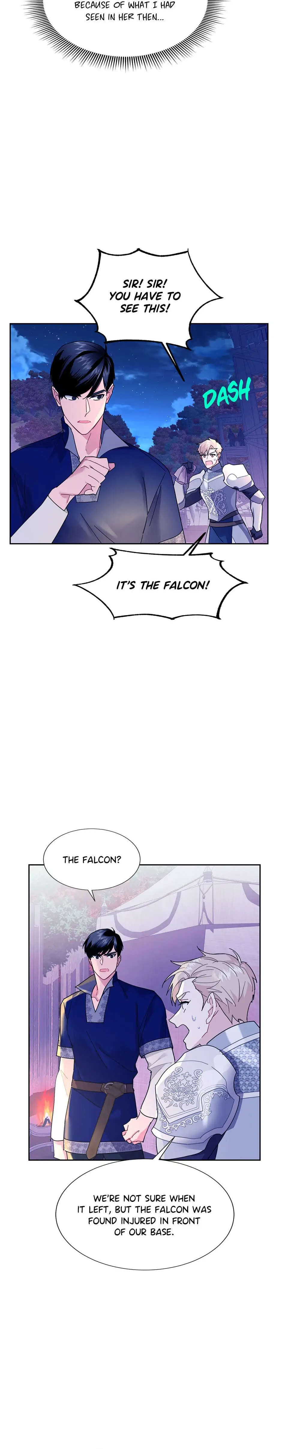 The Falcon Princess Chapter 38 - page 13