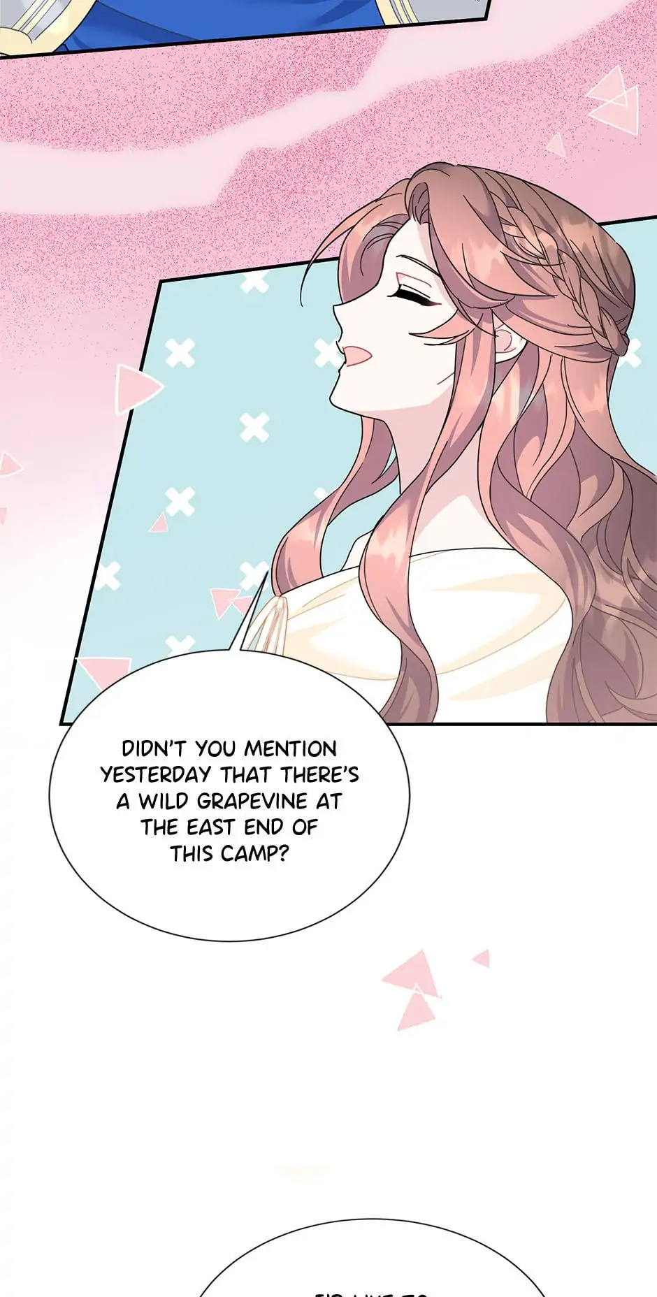The Falcon Princess Chapter 63 - page 29