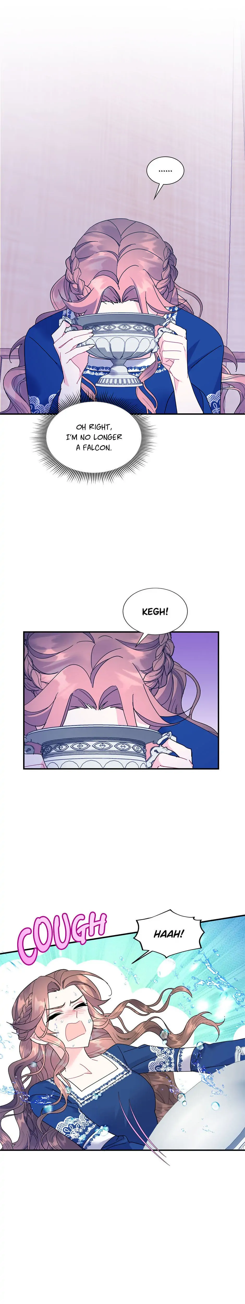 The Falcon Princess Chapter 42 - page 2