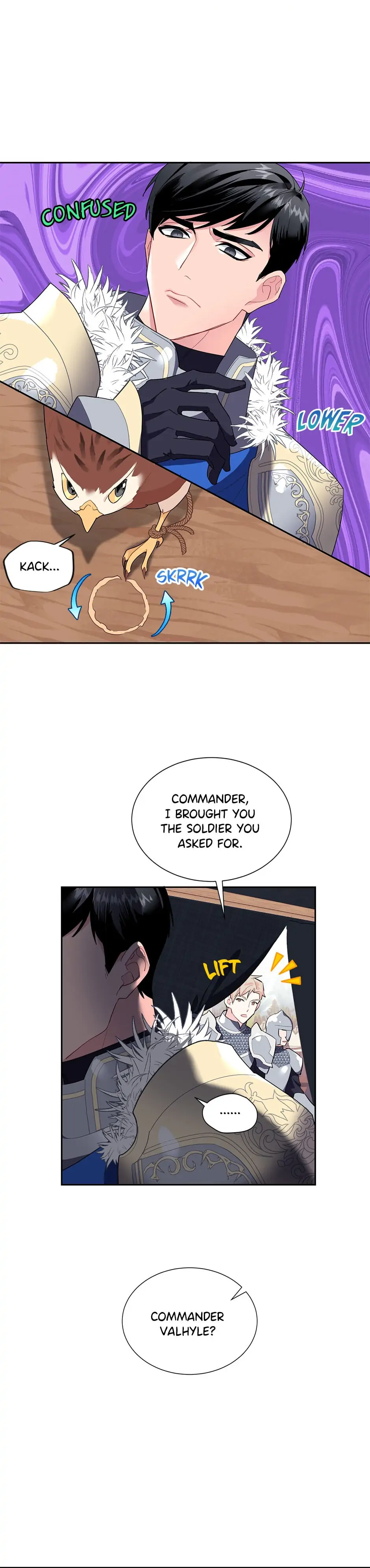 The Falcon Princess Chapter 6 - page 6