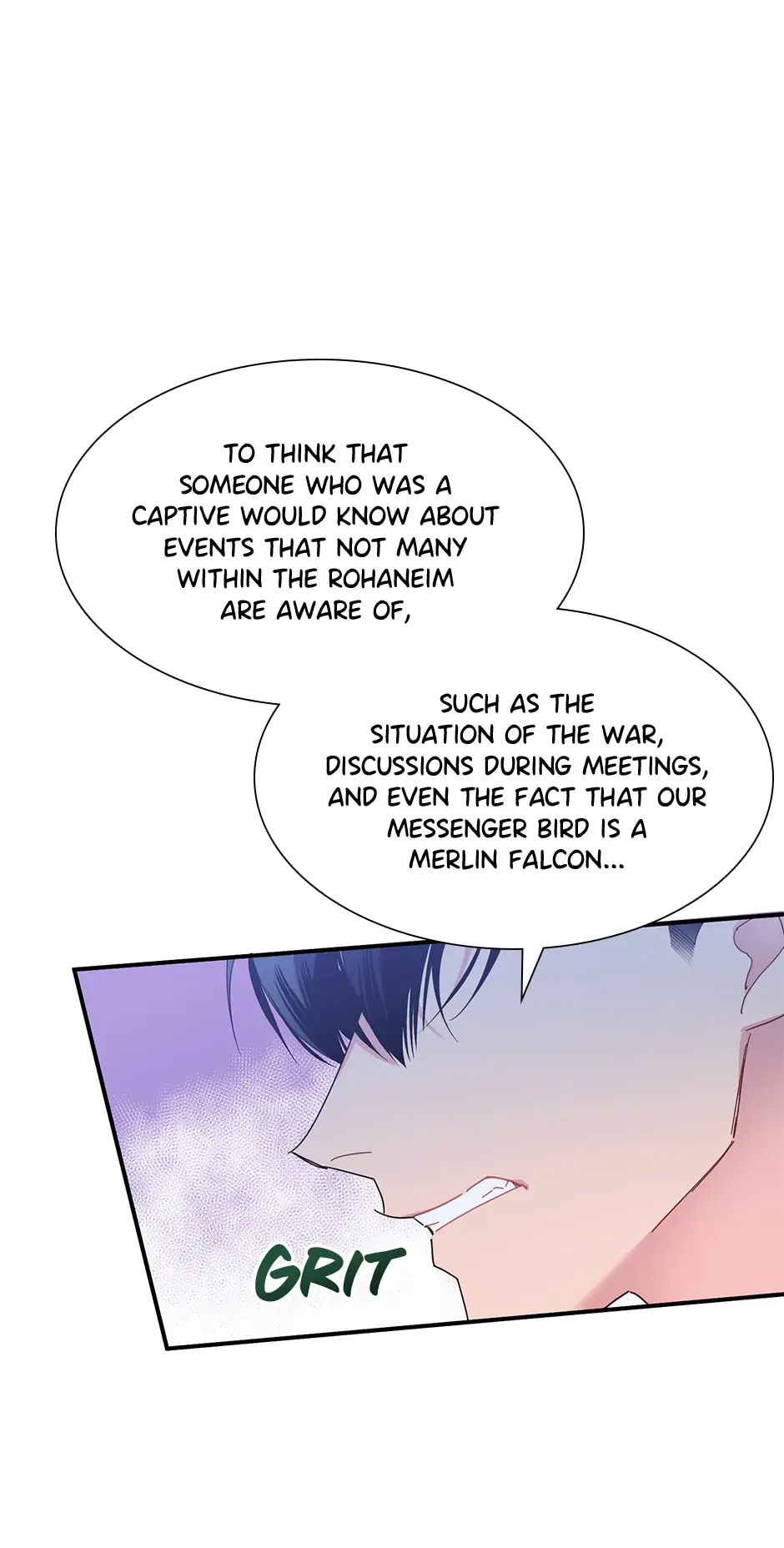 The Falcon Princess Chapter 51 - page 17