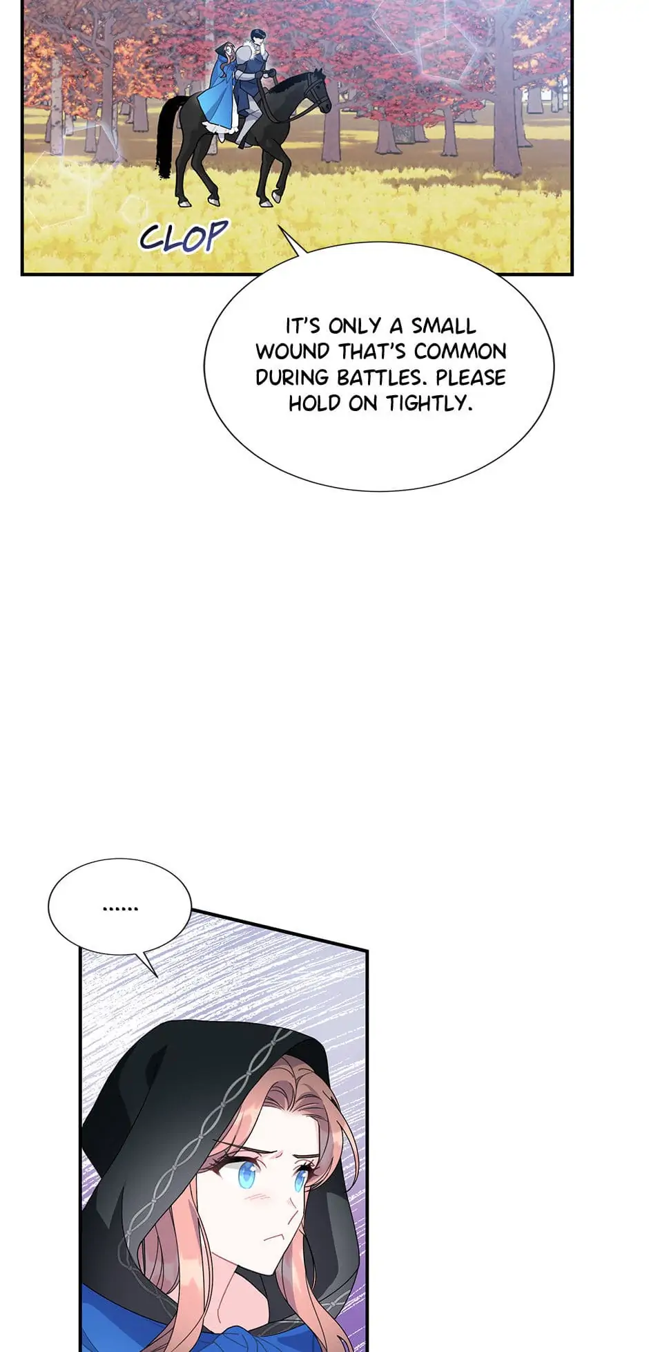 The Falcon Princess Chapter 49 - page 43