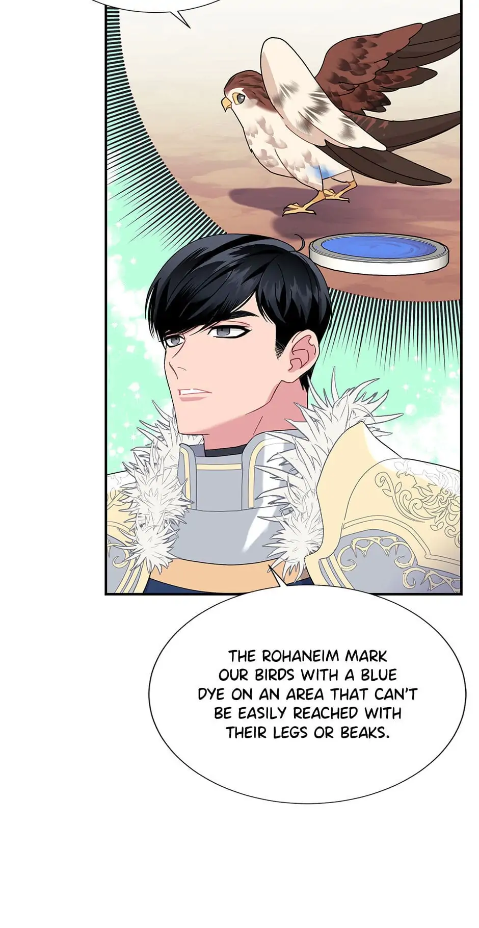 The Falcon Princess Chapter 49 - page 6