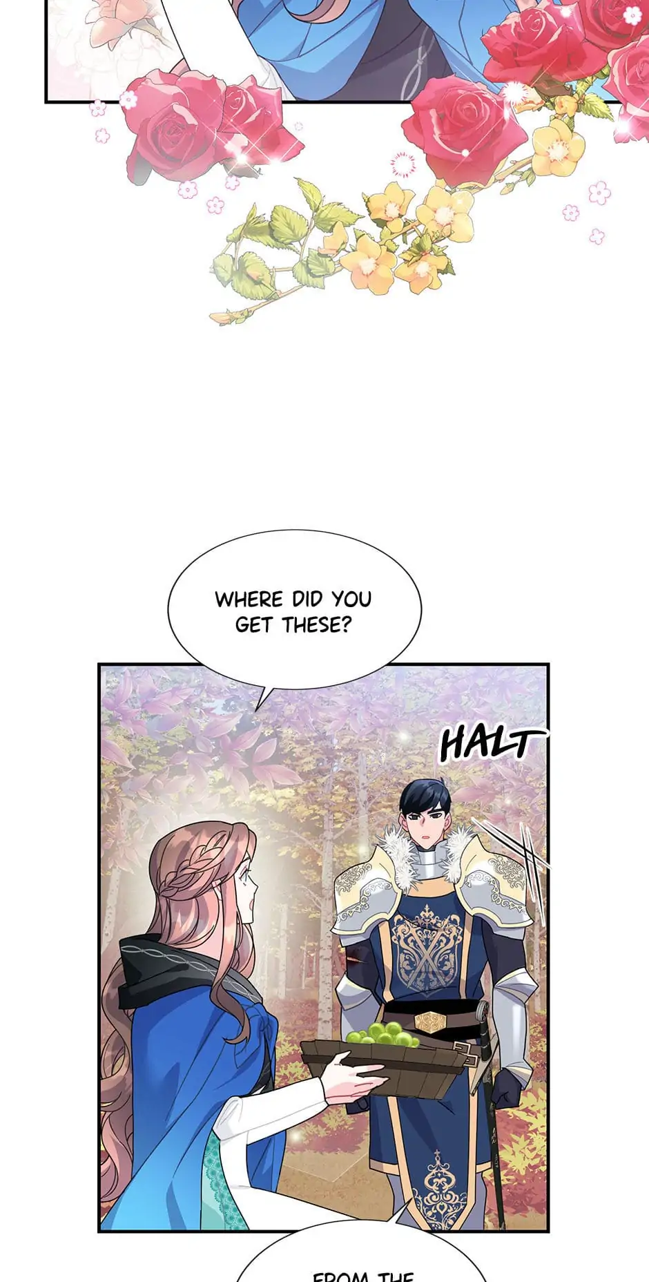 The Falcon Princess Chapter 48 - page 45