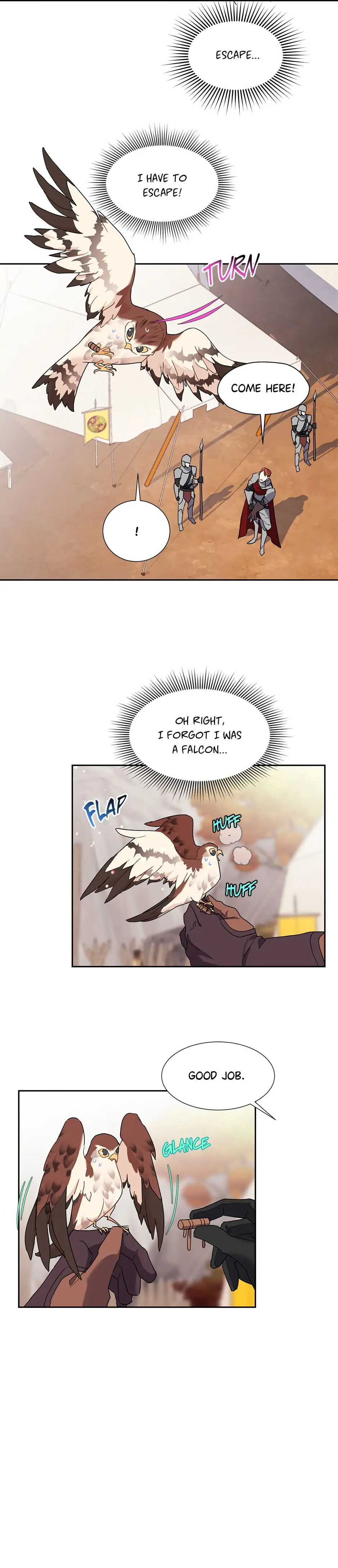 The Falcon Princess Chapter 11 - page 4
