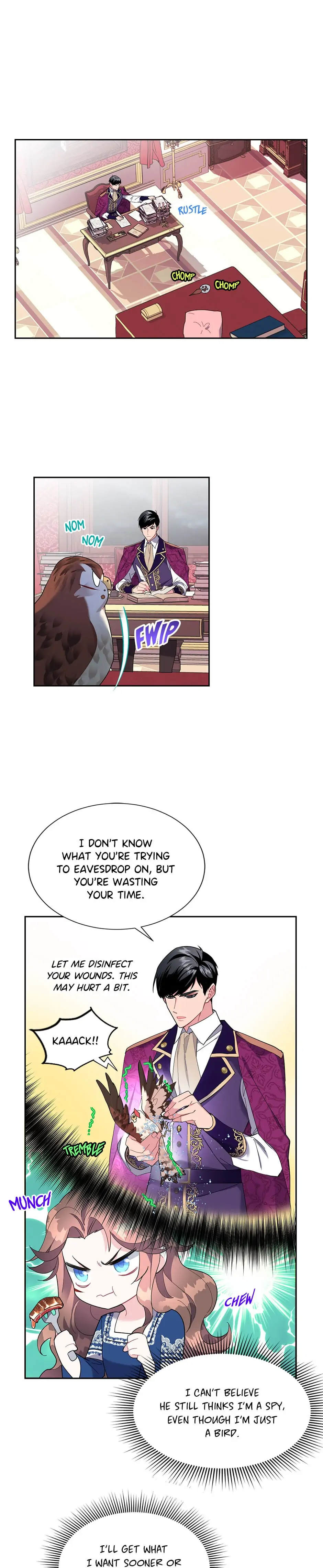The Falcon Princess Chapter 13 - page 2