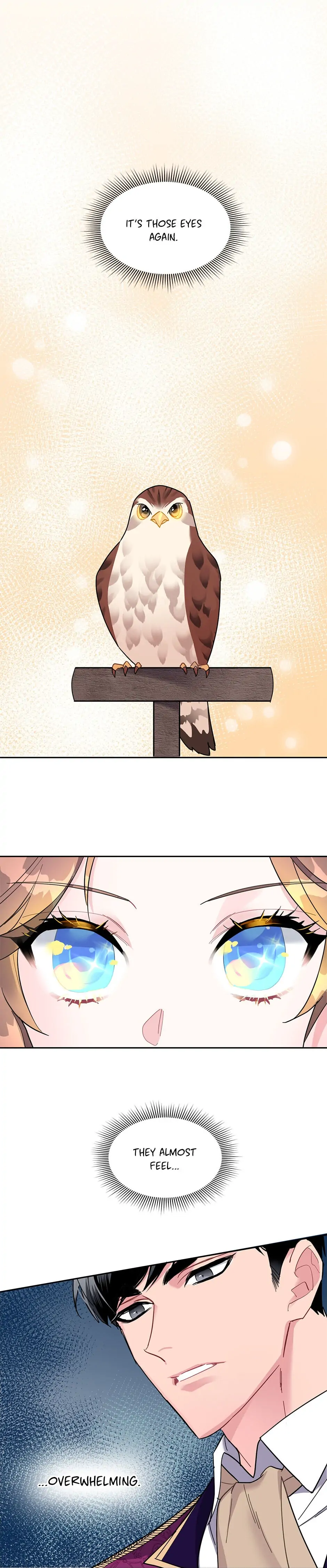 The Falcon Princess Chapter 14 - page 2
