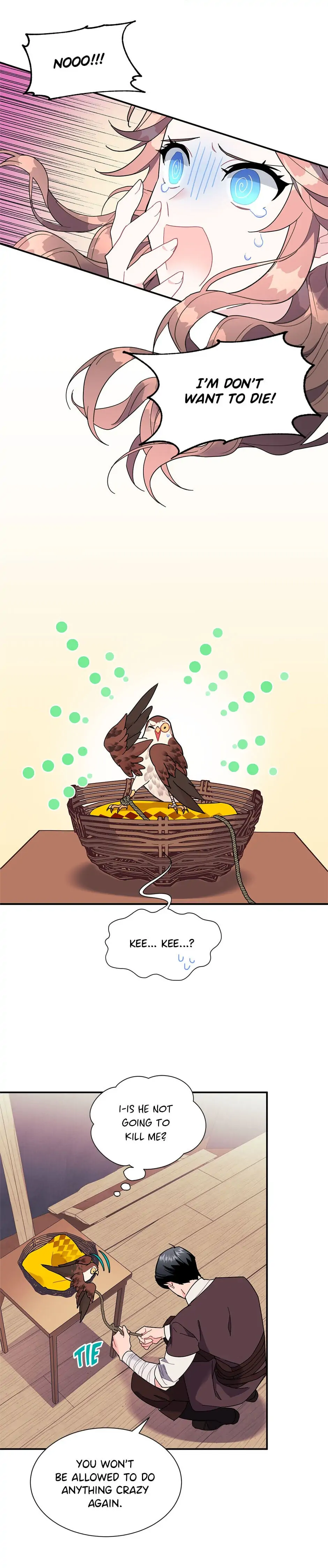 The Falcon Princess Chapter 18 - page 18