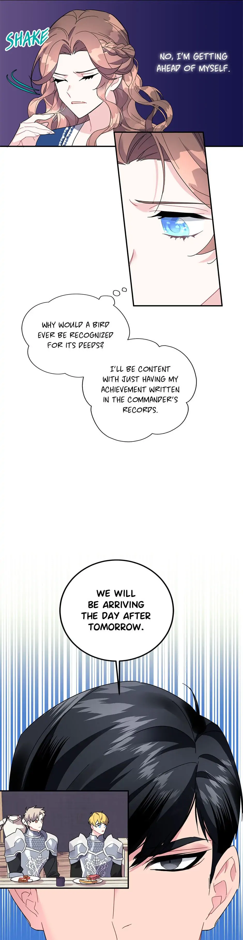 The Falcon Princess Chapter 20 - page 28