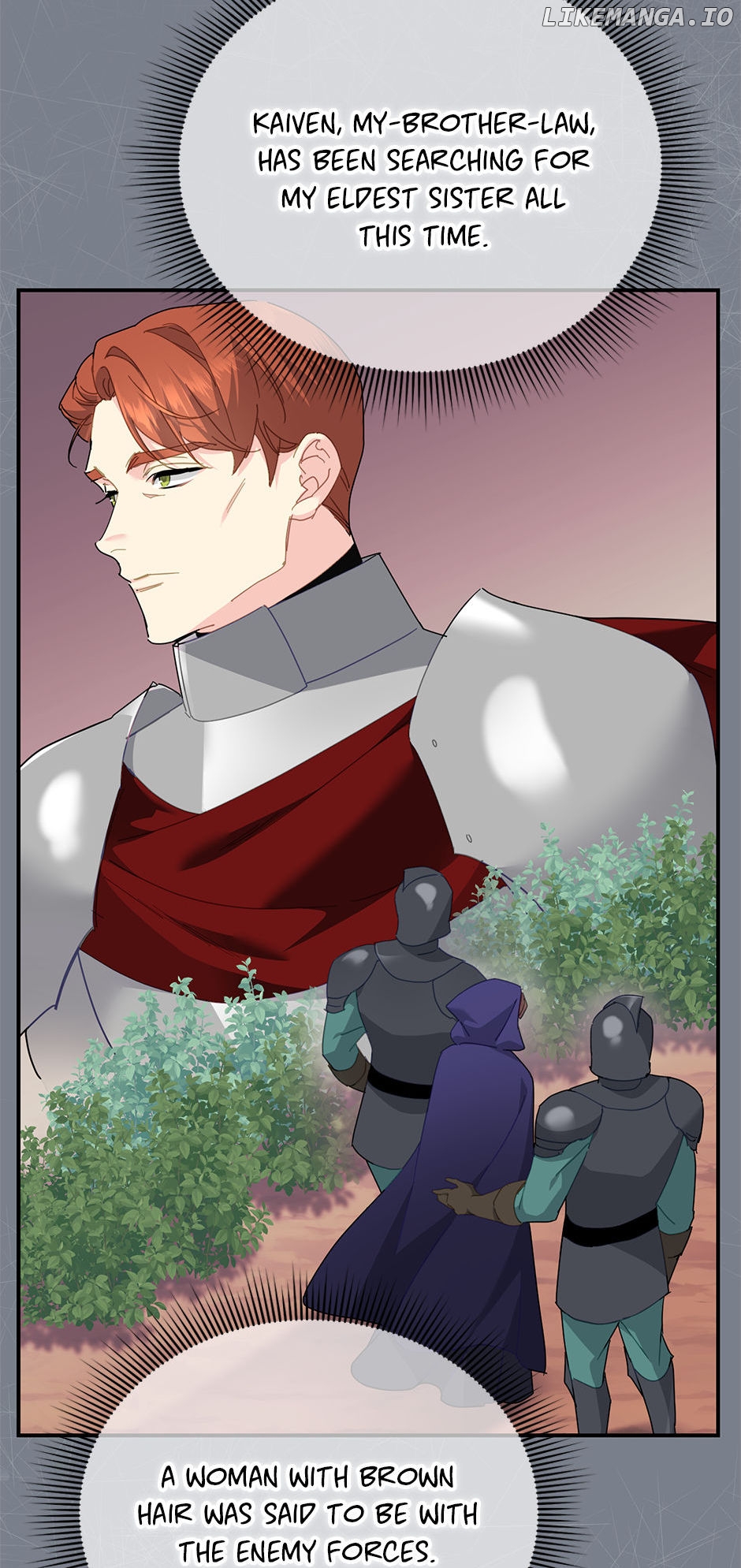 The Falcon Princess Chapter 82 - page 29