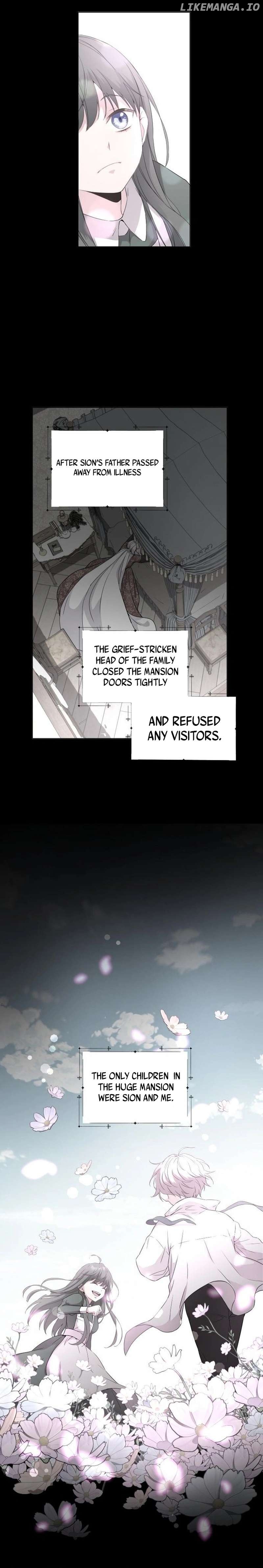 Who’s the Wizard That’s Gonna Kill Me? Chapter 3 - page 8