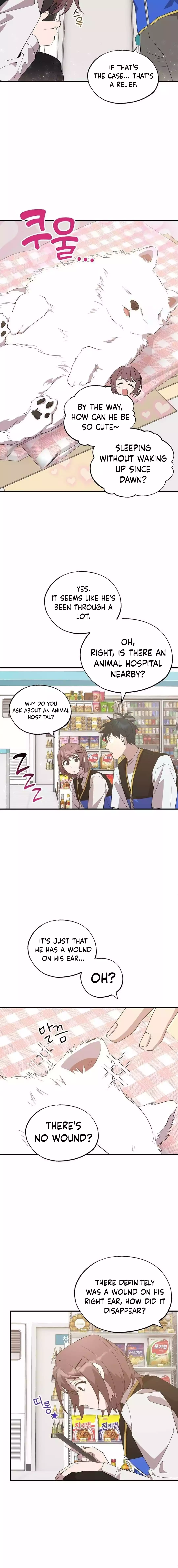 Magical Realm Shopkeeper Chapter 42 - page 13