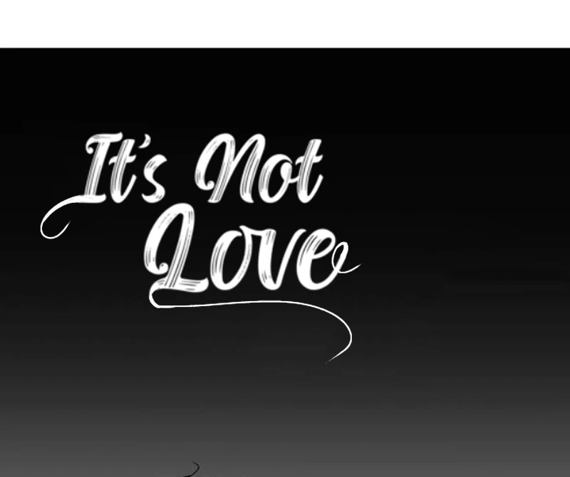 It’s Not Love Chapter 6 - page 17