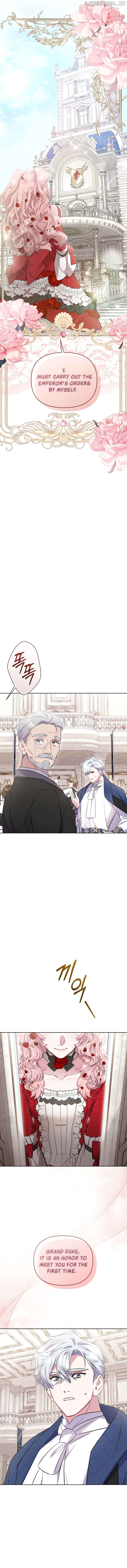 Don’t Worry, We Both Agreed to this Fraudulent Marriage Chapter 16 - page 14