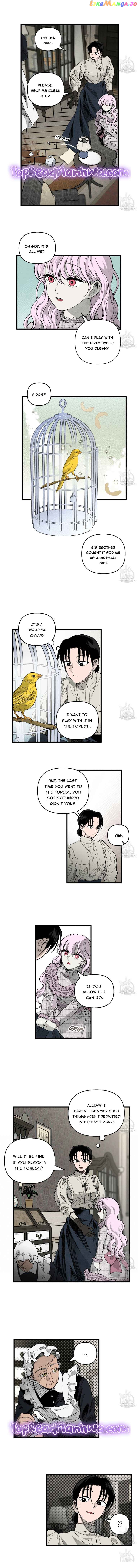 The Witches’ Isle Chapter 3 - page 5