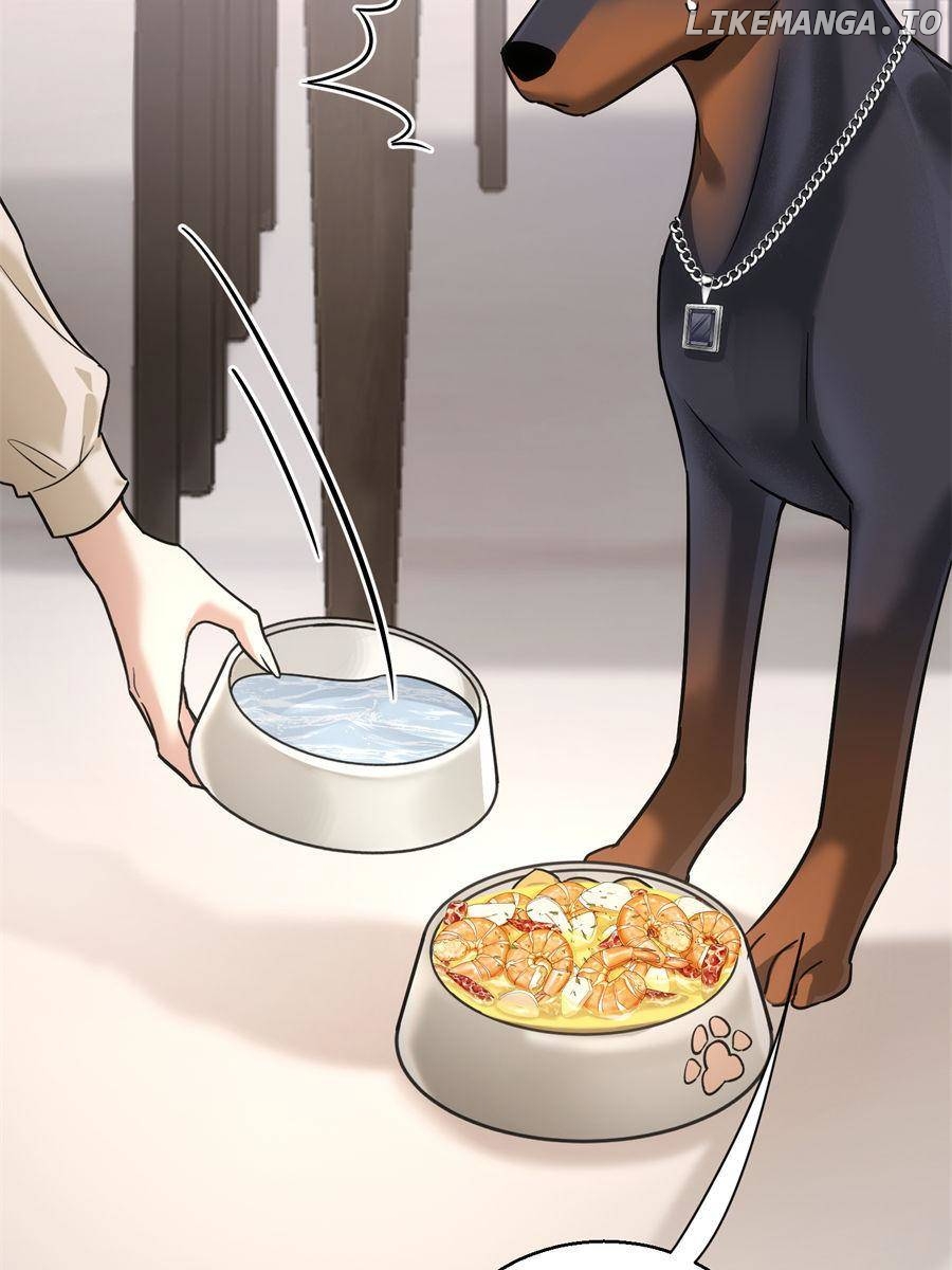 The Man Is A Real Dog Chapter 11 - page 33