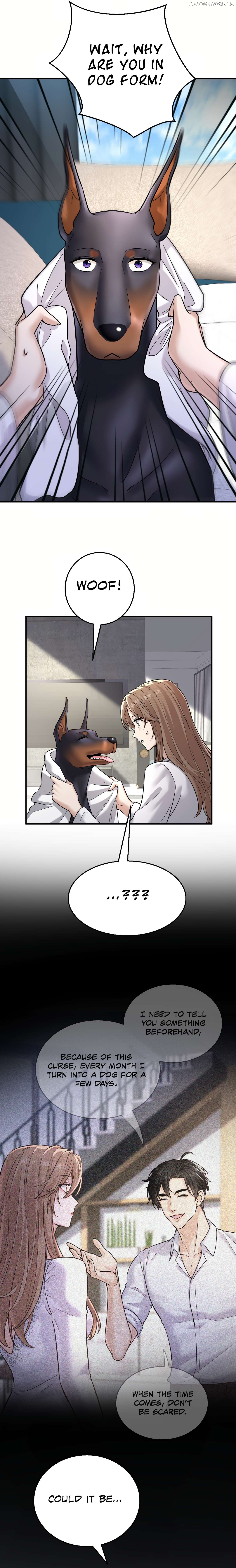 The Man Is A Real Dog Chapter 6 - page 11