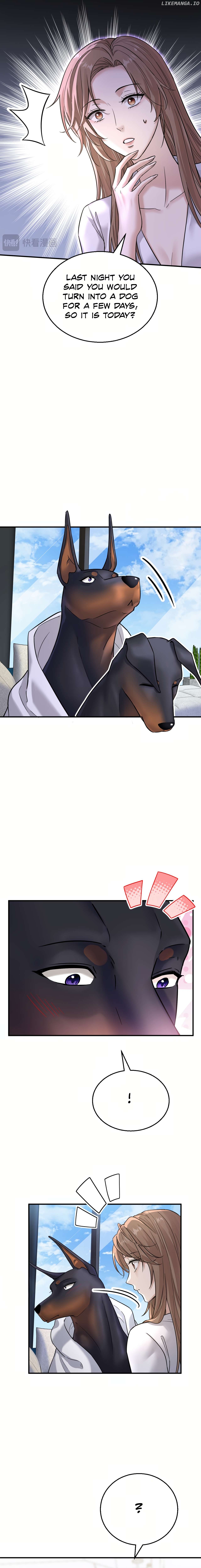 The Man Is A Real Dog Chapter 6 - page 12