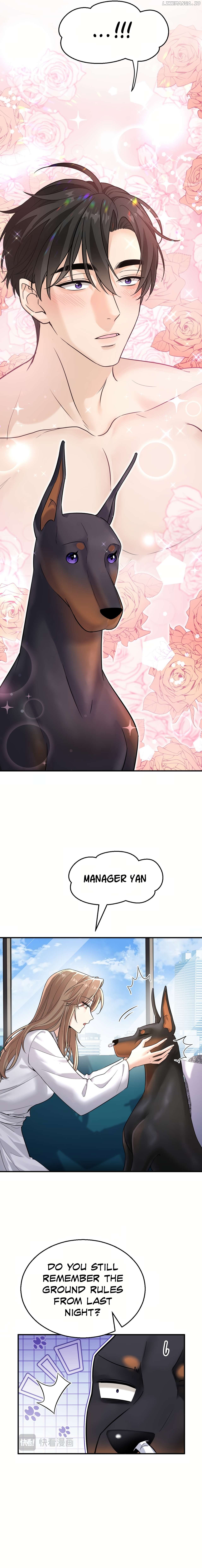 The Man Is A Real Dog Chapter 6 - page 17