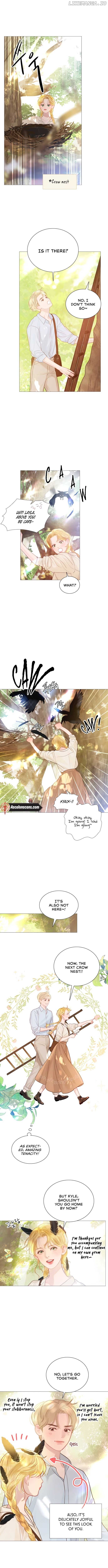 Cry, Even Better If You Beg Chapter 20 - page 1