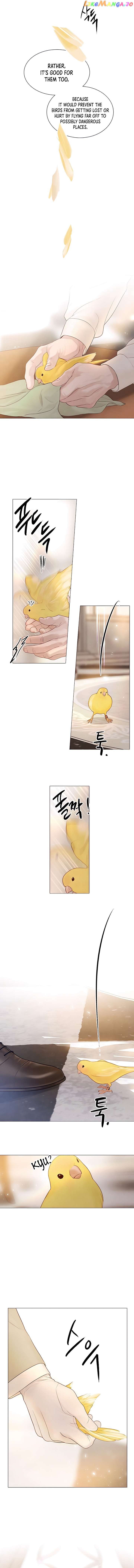 Cry, Even Better If You Beg Chapter 11 - page 11