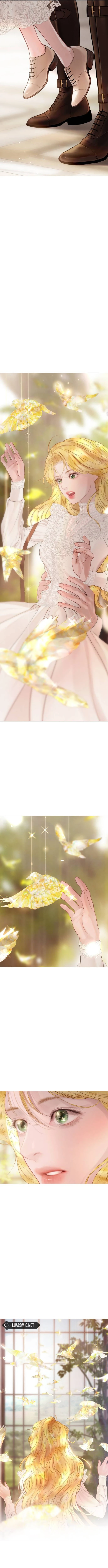 Cry, Even Better If You Beg Chapter 39 - page 11
