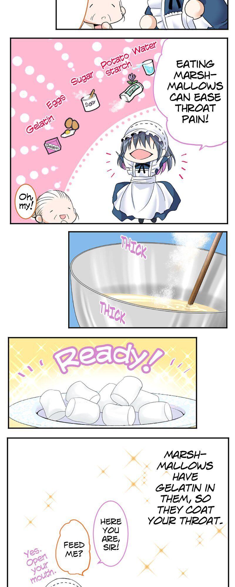 I was Reborn as a Housekeeper in a Parallel World! chapter 33 - page 5