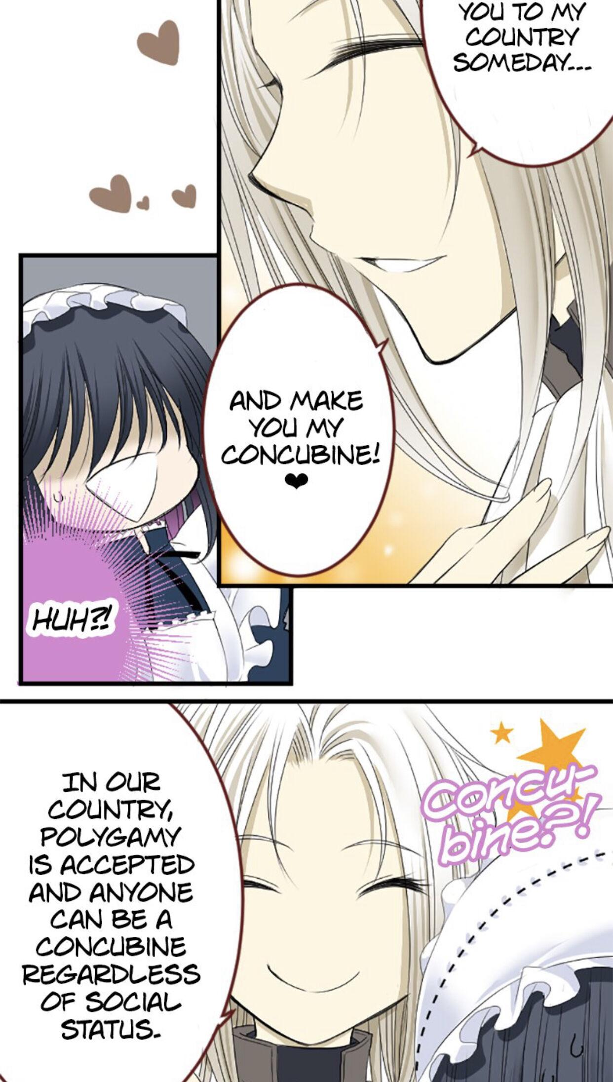 I was Reborn as a Housekeeper in a Parallel World! chapter 5 - page 7