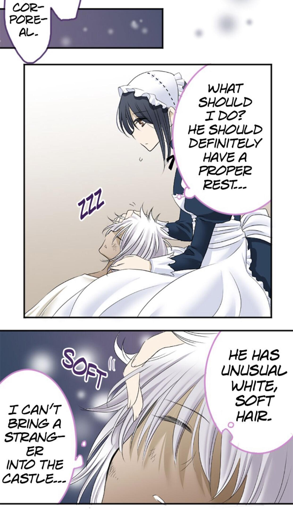 I was Reborn as a Housekeeper in a Parallel World! chapter 6 - page 3