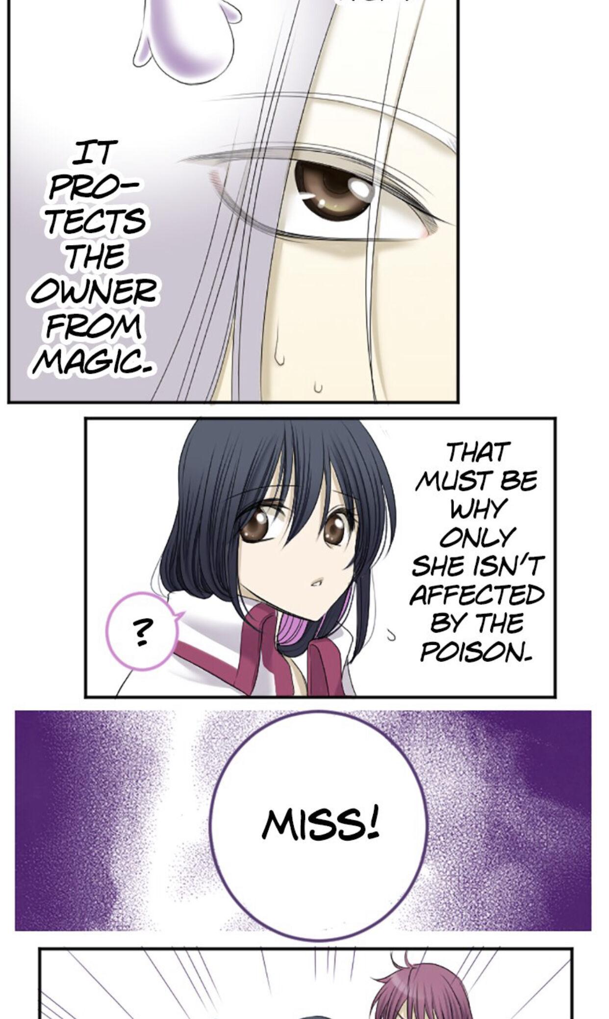I was Reborn as a Housekeeper in a Parallel World! chapter 8 - page 13